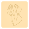 Dog niemiecki 1