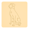 Dog niemiecki 2