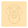 Flat-coated retriever 2