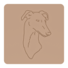 Greyhound 1
