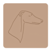 Greyhound 2