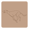Greyhound 4