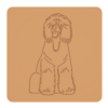 Irlandzki spaniel dowodny 2