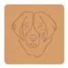 Landseer 2