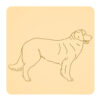 Leonberger 1