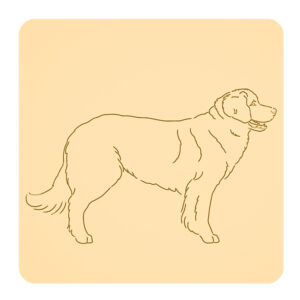Leonberger „na słodko” – foremki do ciastek