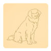Leonberger 2