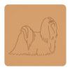 Lhasa apso 1