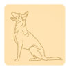 Owczarek belgijski malinois 1
