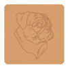 Mops 2
