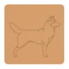 Husky syberyjski 2