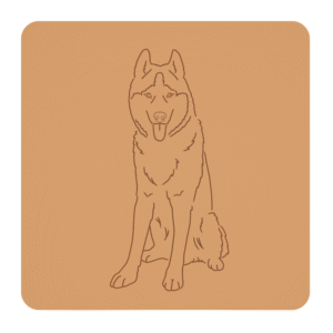 Husky syberyjski "na słodko" – foremki do ciastek