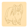 Papillon 2
