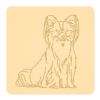 Papillon 3