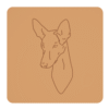 Podenco z Ibizy 1