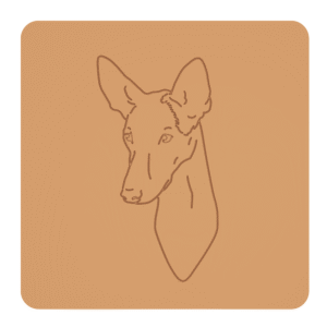 Podenco z Ibizy „na słodko” – foremki do ciastek