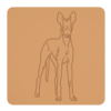 Podenco z Ibizy 3