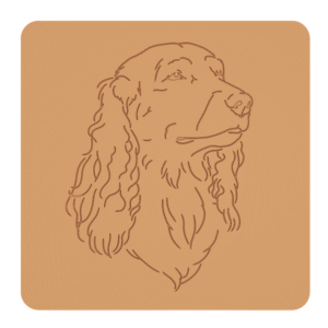 Polski spaniel myśliwski "na słodko" – foremki do ciastek