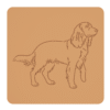 Polski spaniel myśliwski 3