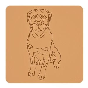 Rottweiler „na słodko” – foremki do ciastek