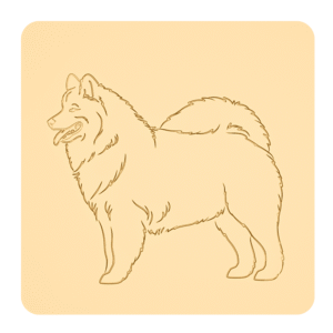 Samoyed „na słodko” – foremki do ciastek