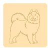 Samoyed 2