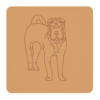 Shar pei 1
