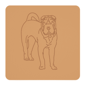 Shar pei „na słodko” – foremki do ciastek