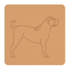 Shar pei 2