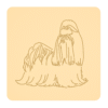 Shih tzu 1