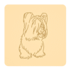 Skye terrier 1