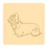 Skye terrier 2