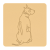 Thai ridgeback dog 1