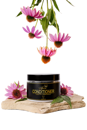 Lagotto romagnolo conditioner