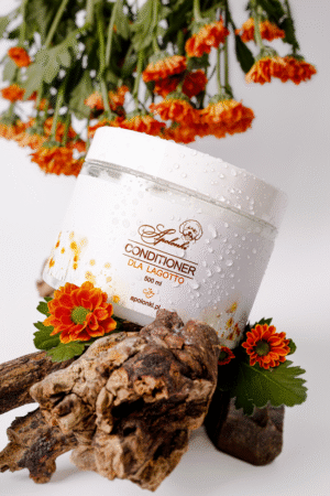 Conditioner dla lagotto romagnolo