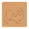 Spaniel tybetański 2