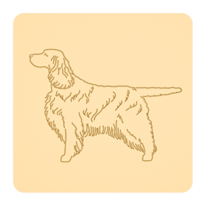 Springer spaniel angielski „na słodko” – foremki do ciastek