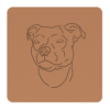 Staffordshire bull terrier 1