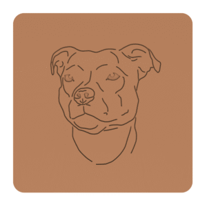 Staffordshire bull terrier „na słodko” – foremki do ciastek