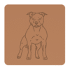Staffordshire bull terrier 2