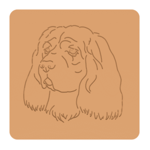 Sussex spaniel „na słodko” – foremki do ciastek