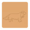Sussex spaniel 3