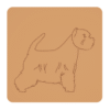 West Highland white terrier 1