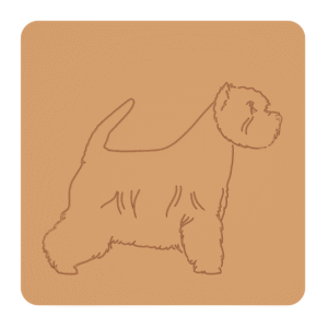 West Highland white terrier „na słodko” – foremki do ciastek