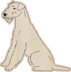 Airedale terrier – magnes