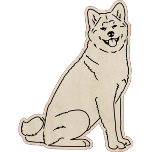 Akita – magnes