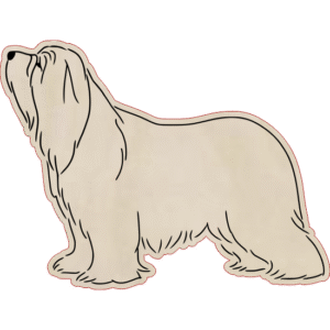 Bearded collie – magnes