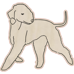 Bedlington terrier – magnes