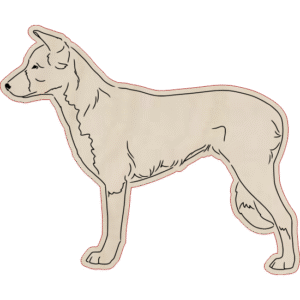 Border collie krótkowłosy – magnes