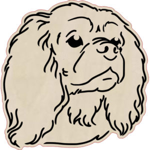 Cavalier King Charles spaniel – magnes
